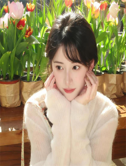 《狼族盟约》象征隐喻解析：符号意义与深层寓意探讨